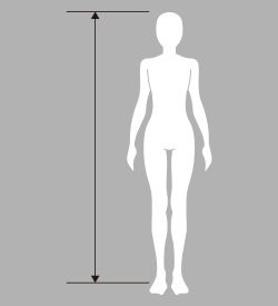 身長（しんちょう）