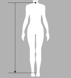 総丈（そうたけ）