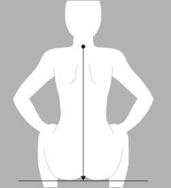 背丈（せたけ）