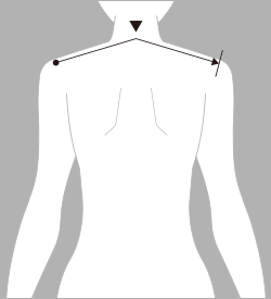 肩幅（かたはば）