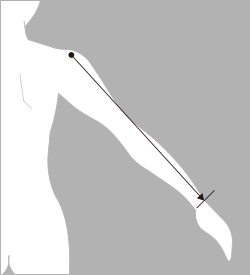 袖丈（そでたけ）