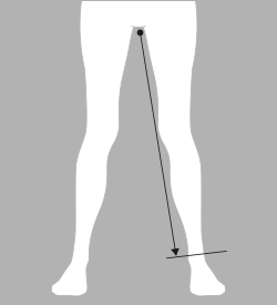 股下採寸: 補足イメージ