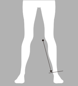 すね長（すねなが）