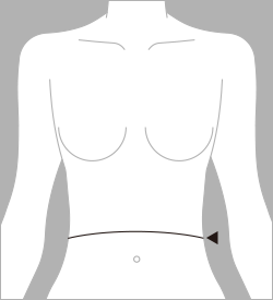 腹囲（ふくい）