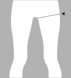 太腿囲（ふとももまわり）