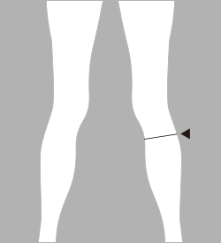 膝下囲（ひざしたまわり）