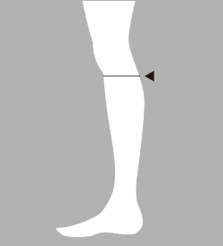 膝下囲採寸: 補足イメージ