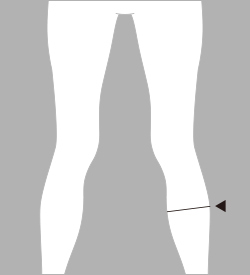 脹脛囲（ふくらはぎまわり)