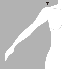 腕付け根囲（うでつけねまわり）