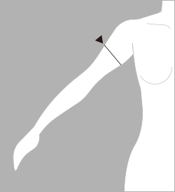 大腕囲（だいわんまわり）