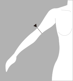 肘囲（ひじまわり）