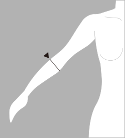 肘下囲（ひじしたまわり）