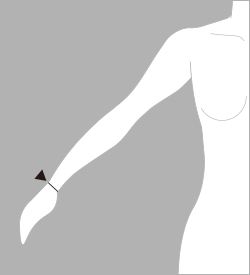 手首囲（てくびまわり）