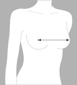 乳頭間（にゅうとうかん）