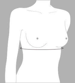 下胸囲（したきょうい）